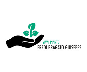 Eredi Bragato Giuseppe